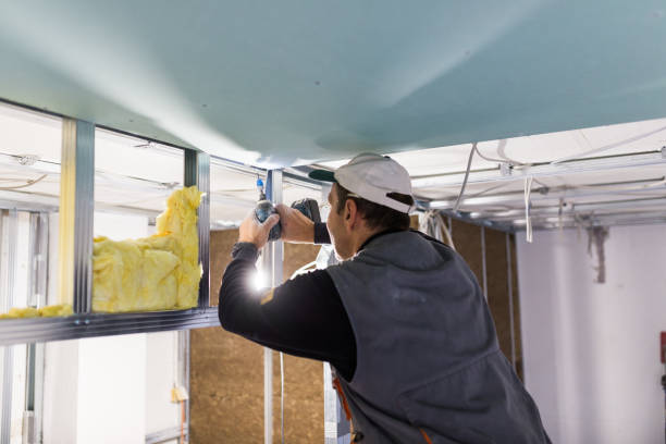 Best Insulation Installation Services in Mount Pleasant, UT